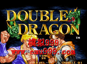 ˫ - Double Dragon
