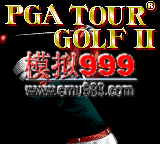 PGA߶Ѳ - PGA Tour Golf II (U)