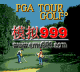 PGA߶Ѳһ - PGA Tour Golf (U)