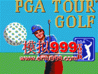 PGA߶Ѳ - PGA Tour Golf (E)