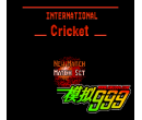 International Cricket (Unl)