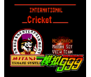 International Cricket (Unl)(Alt version)